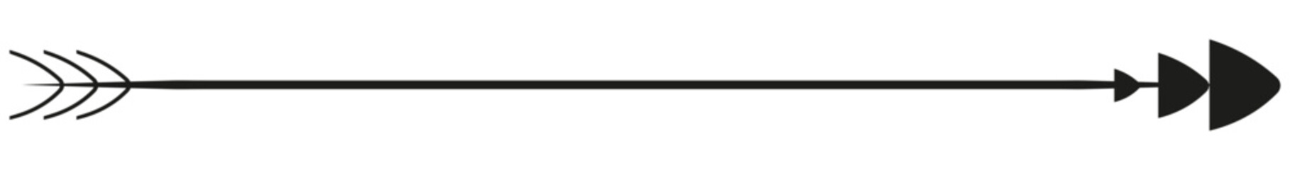 Calligraphic line design elements.Wedding ornaments icon,Calligraphic Icon 