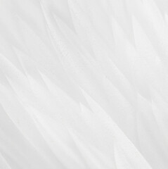 Obraz premium Soft-focused Abstract White Decorative Feathers Background