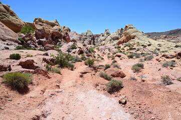 White Domes Trail in Nevada USA on a hot April day in 2024. 