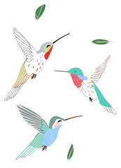 Obraz premium PNG Hummingbirds animal flying creativity