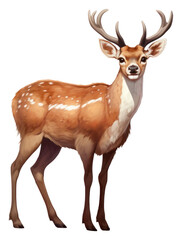 PNG A deer wildlife animal mammal