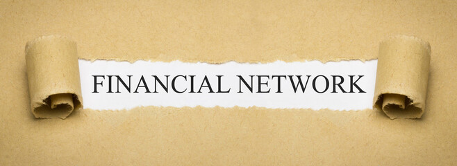 Financial Network