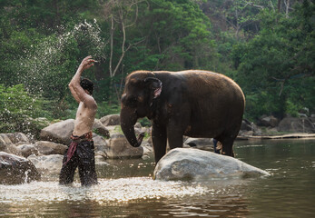 Shirtless mahout with elephants in the water