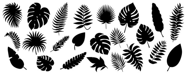 silhouettes of tropic leaves. Vector illustration EPS 10