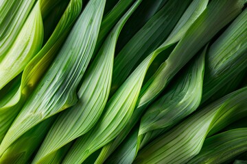 Fototapeta premium Intricate Patterns and Bright Hues of Fresh Leek Detail for Natural Textured Backgrounds