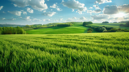 Fototapeta premium Rich green fields
