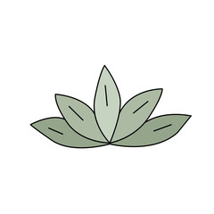 Lotus in doodle style. Vector illustration