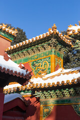 dragon pattern glazed tile of the forbidden city