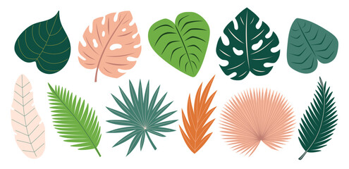 Tropical leaves set. Monstera, banana tree, palm leaves. Abstract exotic elements. Flat Vector illustration isolated on white background