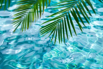 Fototapeta premium Sunlight dancing on tranquil pool waters with palm frond overhead