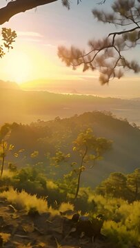 Morning View at Gunung Bismo. Bismo Mountain via si Kunang in Wonosobo, central java. The beautiful and calm place for recreation 