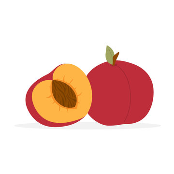 Nectarine fruit. Tropical fruit whole and half sliced. Ripe red nectarine or peach. Vector illustration in flat style.