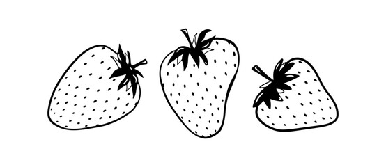 Doodle strawberry vector illustration. Black hand drawn abstract fruit. Summer sketch berry drawing. Three single elements