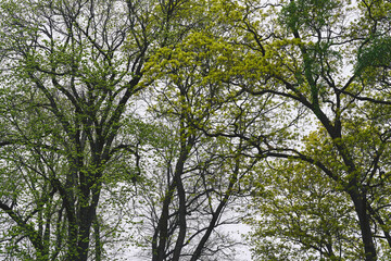 Oslo in early May.