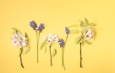 Flat lay from spring flowers on a soft yellow background. View from above, copy space. Beautiful floral pattern.