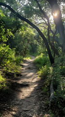 Serene Wilderness: An Enthralling Glimpse of the Verdent TX Hiking Trails