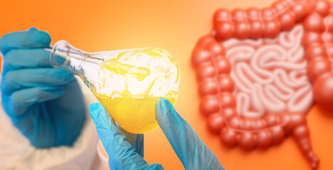 Gastroenterological research. Human intestinal tract. Test tube with gastric juice. Doctor hands with test flask. Gastroenterological medicine. Analysis of digestive system. Gastroenterological test