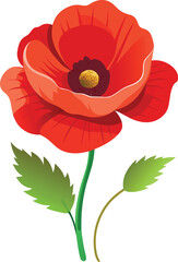 red poppy isolated on white background vector illustration, red poppy flower logo,   beautiful red poppy flower