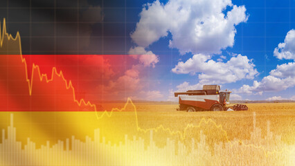 Agribusiness in Germany. Crisis in agricultural industry. Combine harvester mows wheat on field in Germany. Chart falling income from agricultural business. Problems Germany agricultural sector