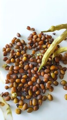 Broccoli seeds. Organic farming concept.Vertical photography