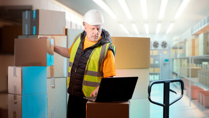 Man loader. Guy works in cold storage warehouse. Loader unloads pallet jack with boxes. Storehouse manager using laptop. Man in industrial refrigerator. Warehouse for storing frozen foods. Art focus