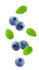 Falling Blueberry isolated on white background, full depth of field