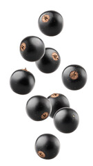 Falling Black currant isolated on white background, full depth of field