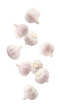 Falling garlic, isolated on white background, full depth of field