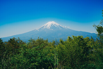 展望台から見える富士山