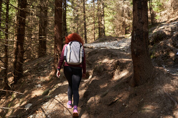 Obraz premium Woman hiker with backpack in a pine forest