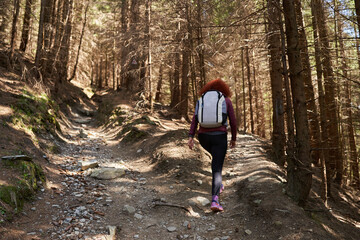 Woman hiker with backpack in a pine forest