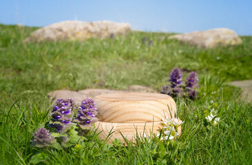 A wooden pedestal stands on a green alpine meadow against a blue sky next to purple flowers....