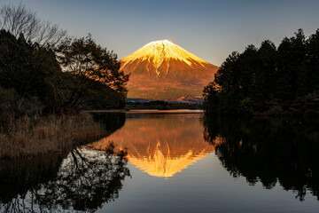 休暇村富士からの展望です。夕陽に赤く映える赤富士が田貫湖面に映えています。夕暮れの貴重な一瞬です。