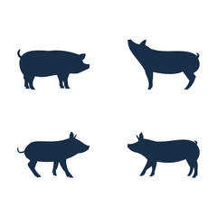 Pig icon template design vector icon illustration