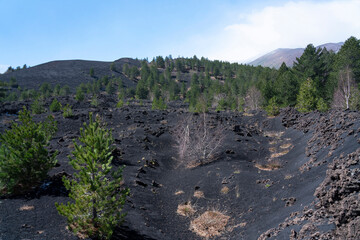 Volcano Etna mountain landscape with black lava, Sicily, Italy