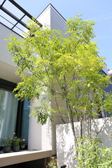 日本の住宅　植栽と玄関周辺