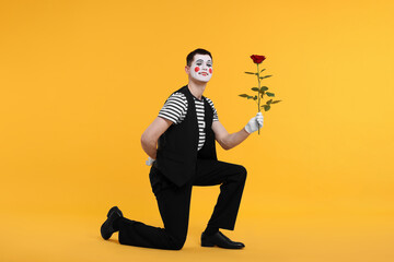 Funny mime artist with red rose posing on orange background