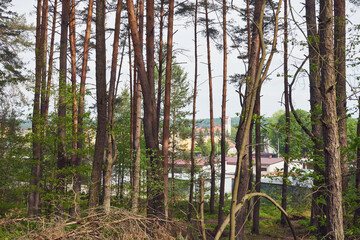 drzewa,niebo  © Marcin Łazarczyk