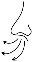 Human runny nose in profile line simple minimalist exhalation icon. Element for design packaging and advertising of rhinitis medical, cold, flu symptoms