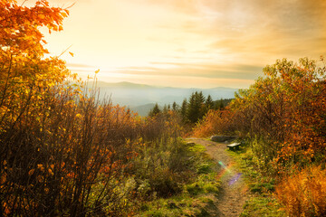 View from a viewing point in the autumn mountains to the tops of mountain ranges and the forest at sunset. Cozy bench with a view of the mountains. Vermont. USA.