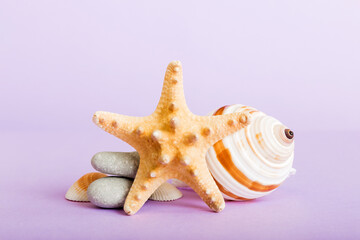 Summer time concept with sea shells or starfish on a table background with copy space for text