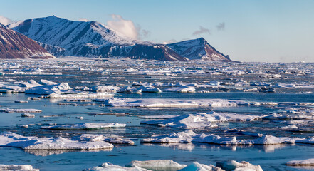 Floating sea ice in Davy Sound on the northeast coast of Greenland.