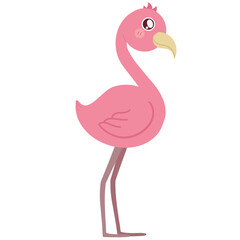 pink flamingo illustration