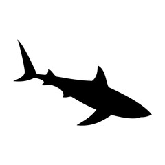 Shark silhouette flat illustration on isolated background