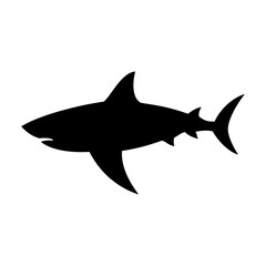 Shark silhouette flat illustration on isolated background
