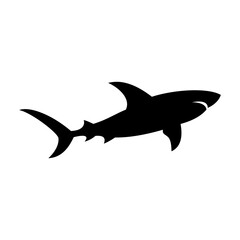 Shark silhouette flat illustration on isolated background