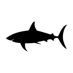 Shark silhouette flat illustration on isolated background