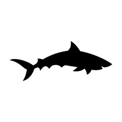 Shark silhouette flat illustration on isolated background