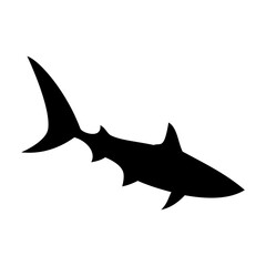 Shark silhouette flat illustration on isolated background