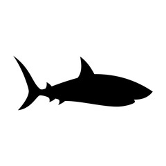 Shark silhouette flat illustration on isolated background